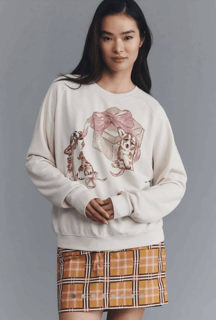 Anthropologie Maeve Crew Neck Animal Friends Corgi Graphic Sweatshirt Cream 1X N